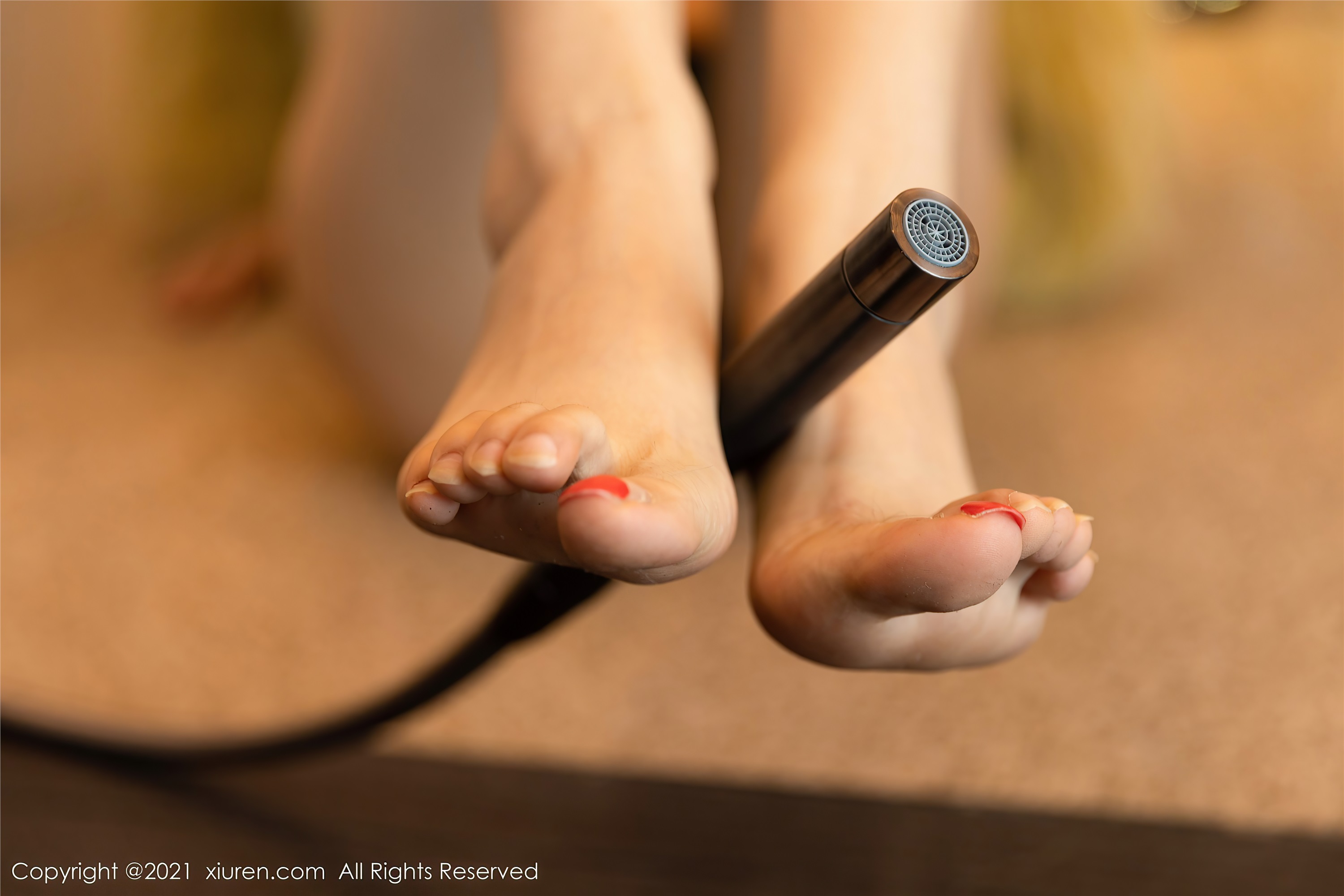 XiuRen秀人网  2021.01.22 No.3035 玥儿玥er